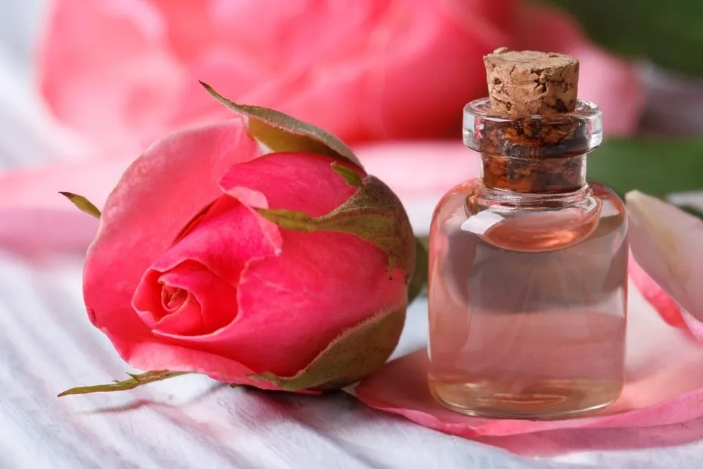 Preparazione acqua di rose